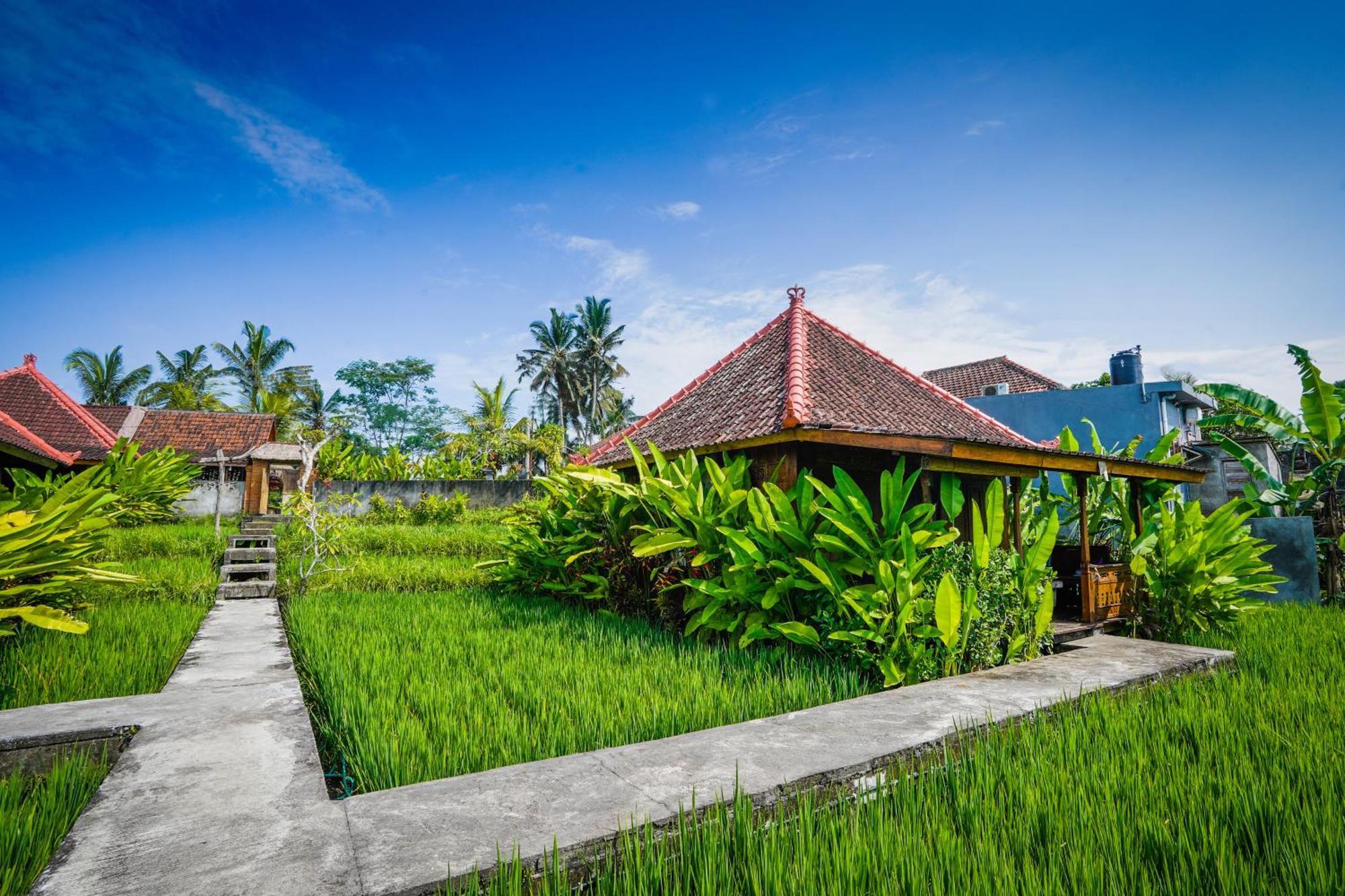 Ubud Sawah Scenery Villa And Homestay Тегаллаланг Экстерьер фото