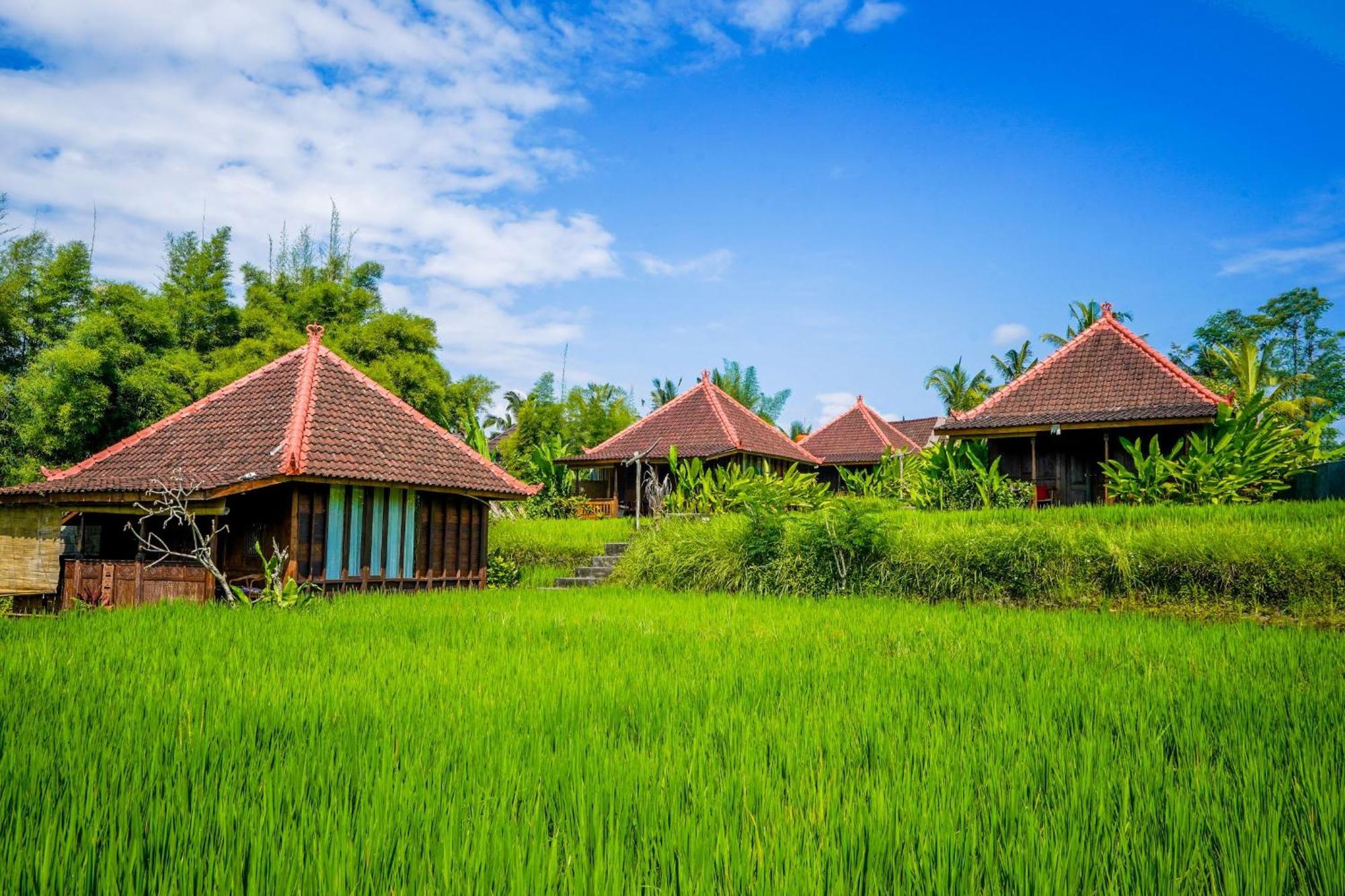 Ubud Sawah Scenery Villa And Homestay Тегаллаланг Экстерьер фото